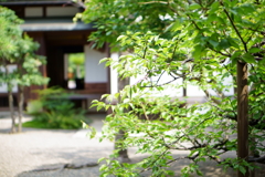 彦根城にて１