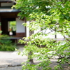 彦根城にて１