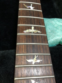 79430111-4A2D-4DA9-A542-F79694A29391