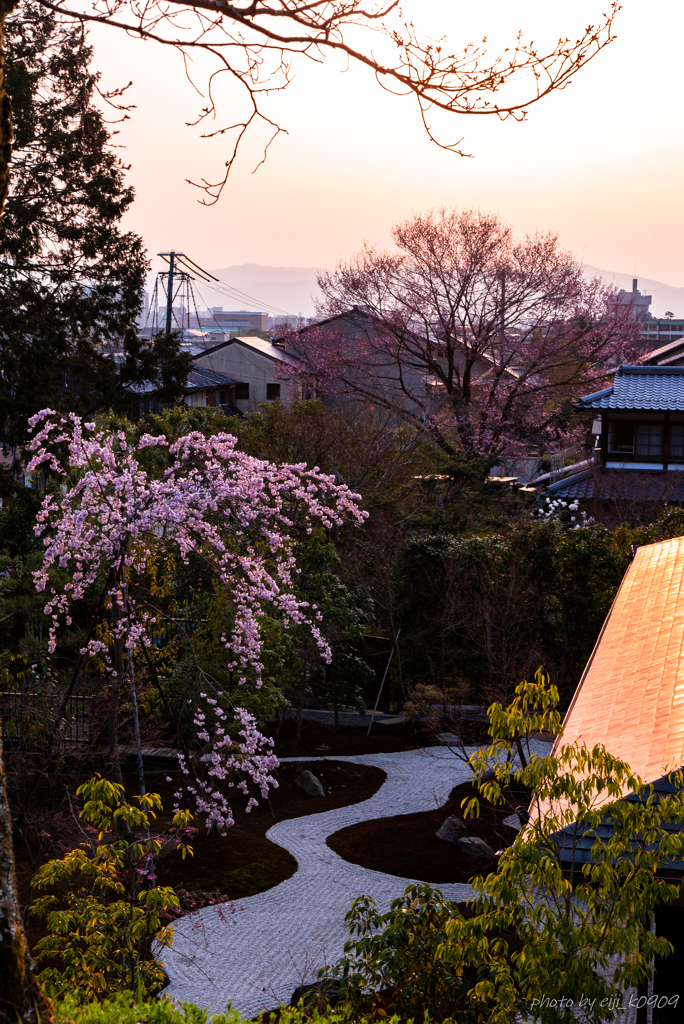 京都でみた夕景