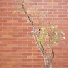 煉瓦積み風建物