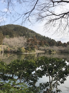 龍安寺の池