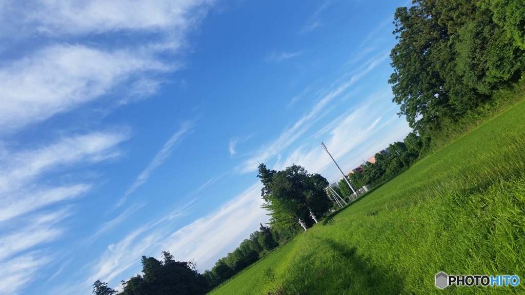 初夏の青空と自然の風景
