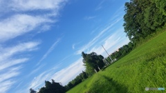 初夏の青空と自然の風景