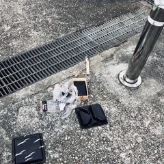 litter