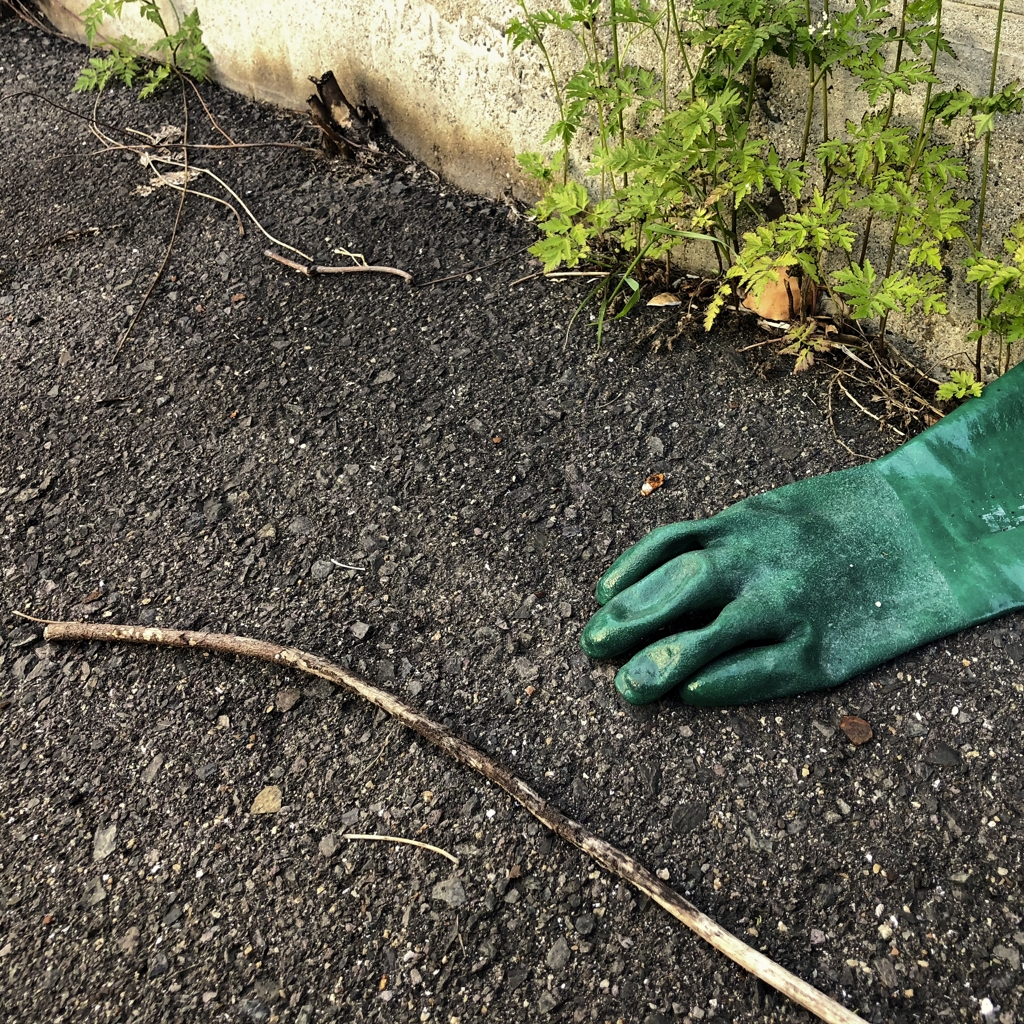 Rubber gloves