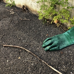 Rubber gloves
