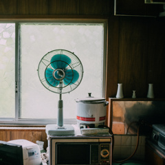 Fan