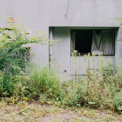 window