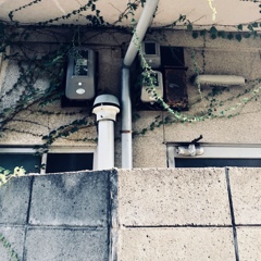 Nondescript