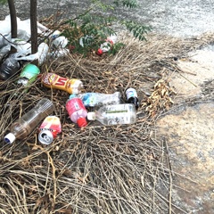 litter