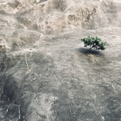One