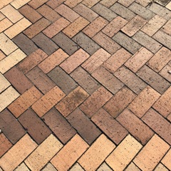 The bricks