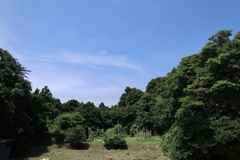 夏の田舎