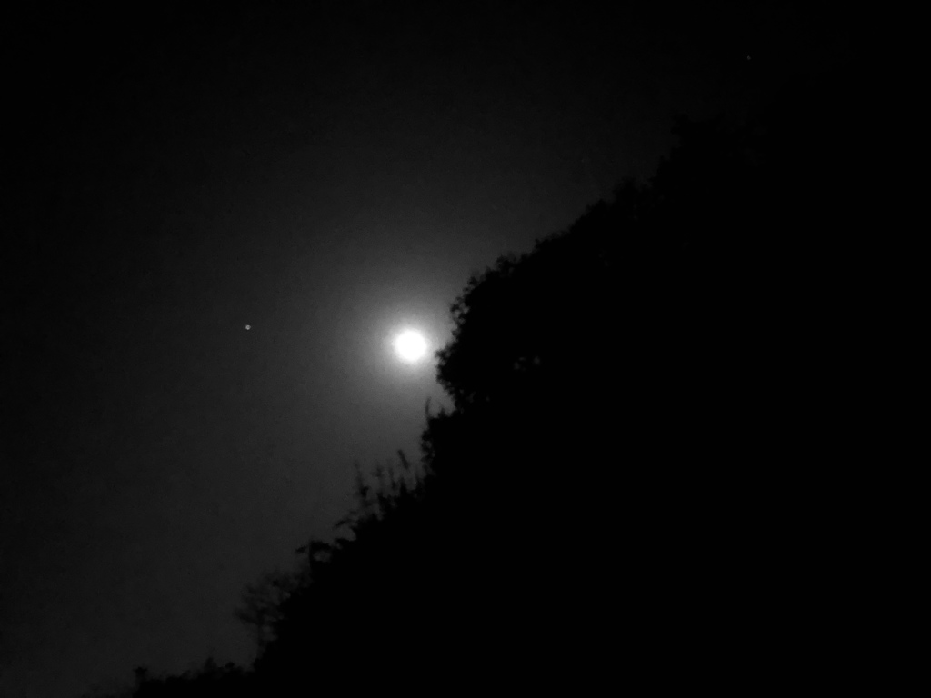 Dark Night 