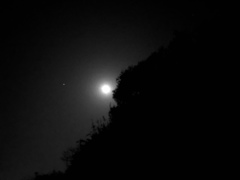 Dark Night 