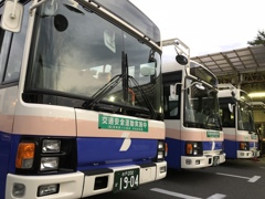 朝日を浴びて