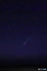 ネオワイズ彗星（その３）