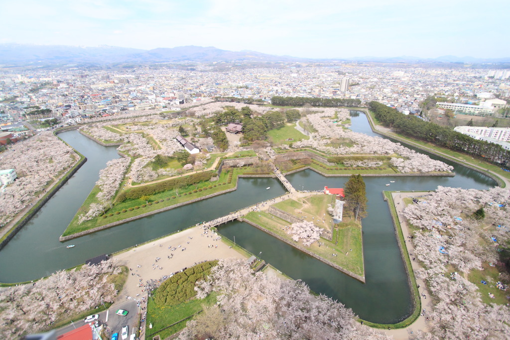 気分だけでも