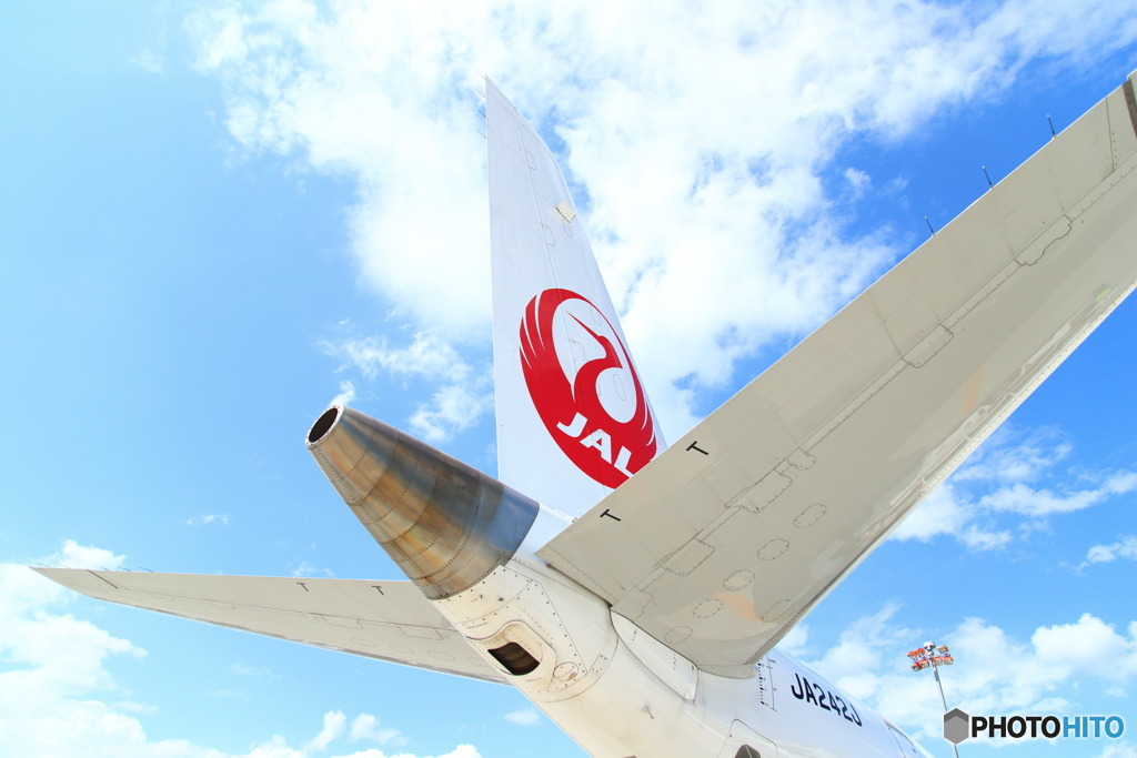 TAIL