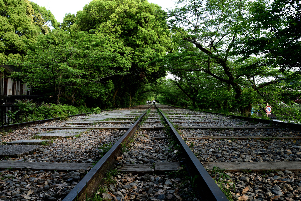 新緑のインクライン