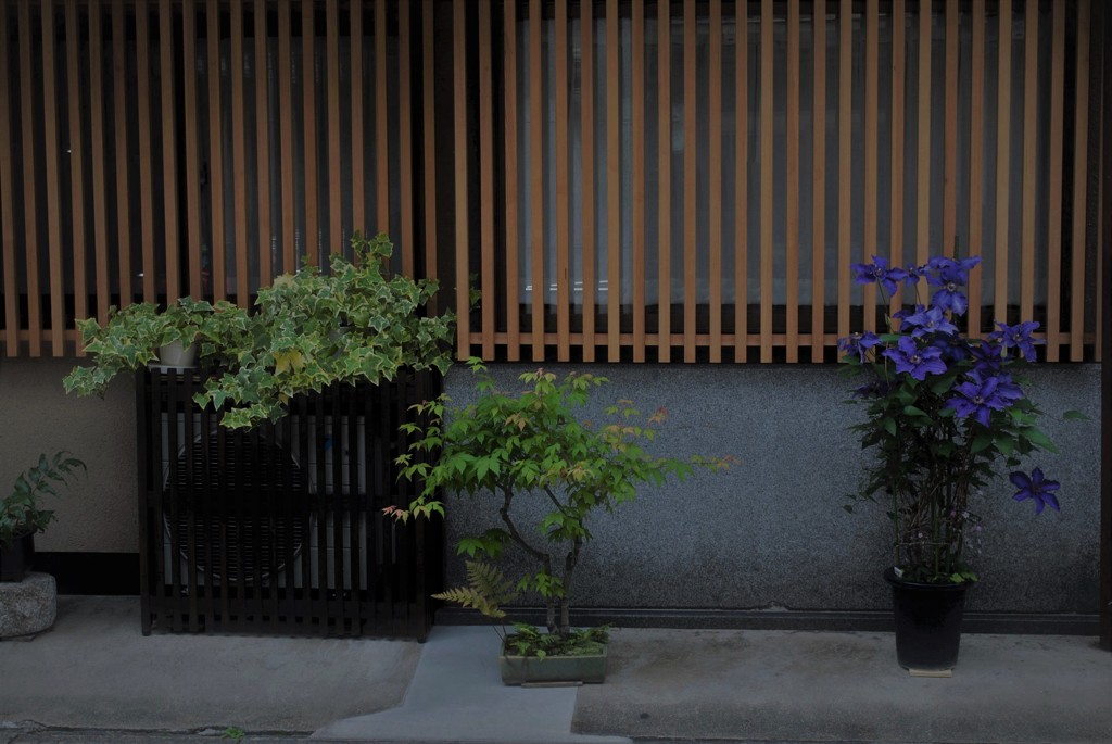 路地裏の風景84 ～静かな軒下～