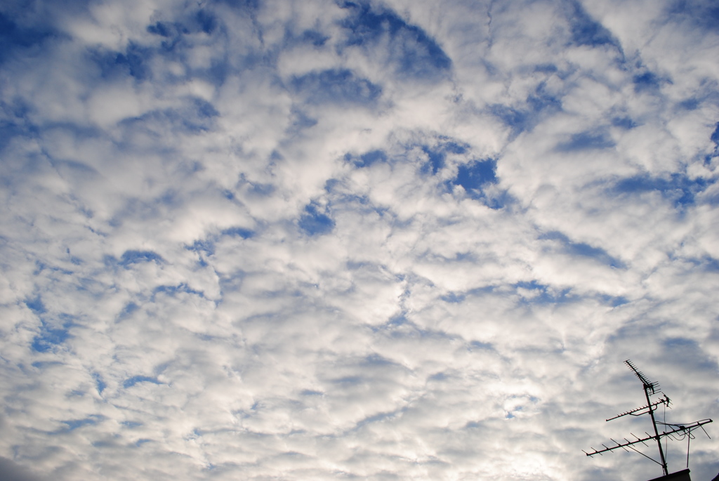 今朝の雲