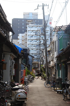 路地裏の風景9 ～見おろす～