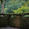 静寂 6 ～緑のバルコニー～