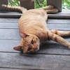 来客と しばし みつめあう
