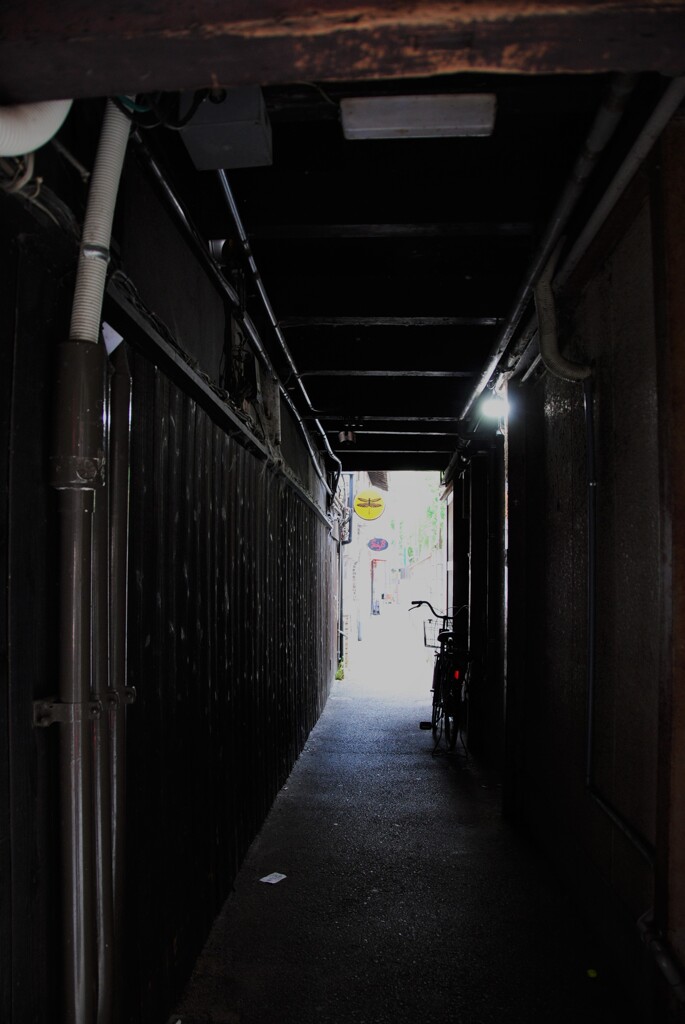 路地裏の風景 109　~涼を求めて~　