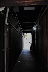 路地裏の風景 109　~涼を求めて~　