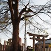 ちっちゃい お宮さん