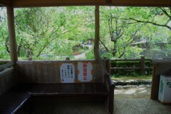 東屋の風景