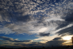 見上げた空