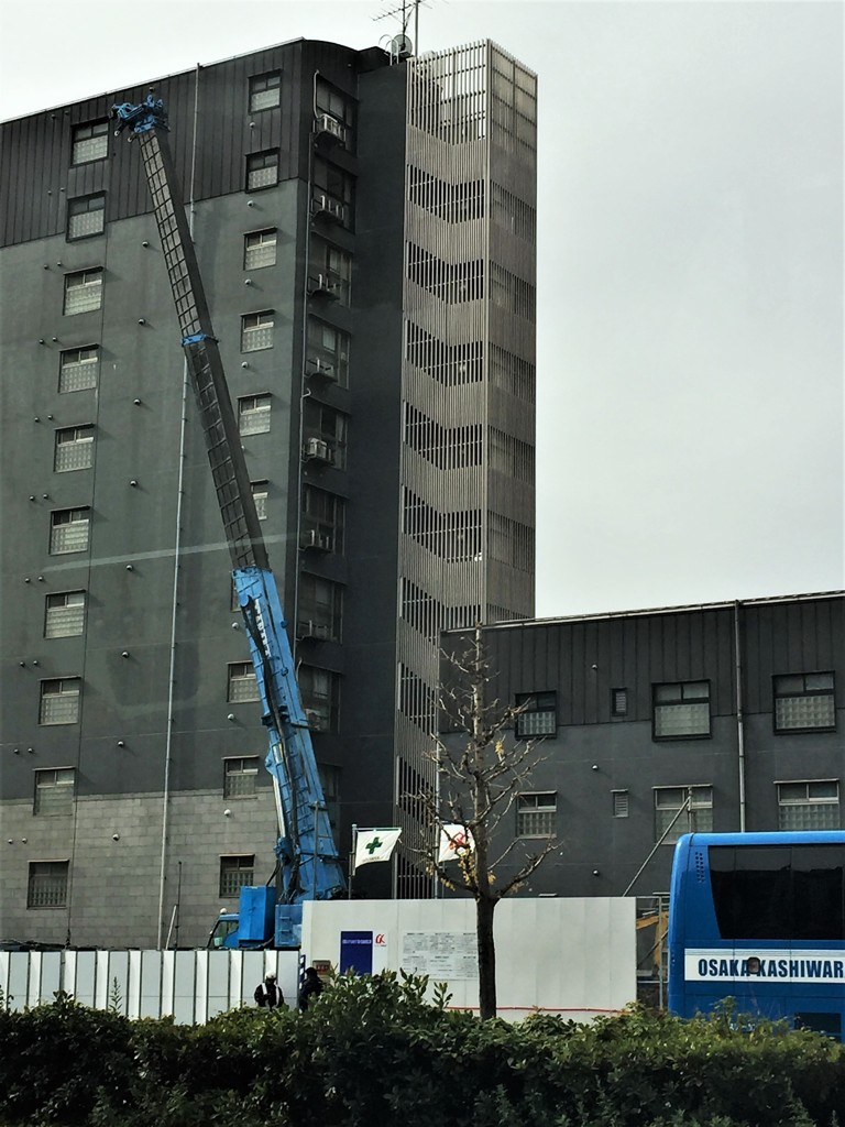 ひきたつ青