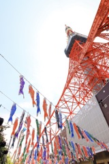 東京タワーと鯉のぼり