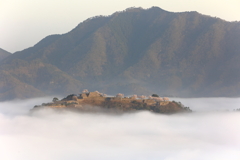 浮かぶ城跡