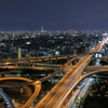 夜の煌めき
