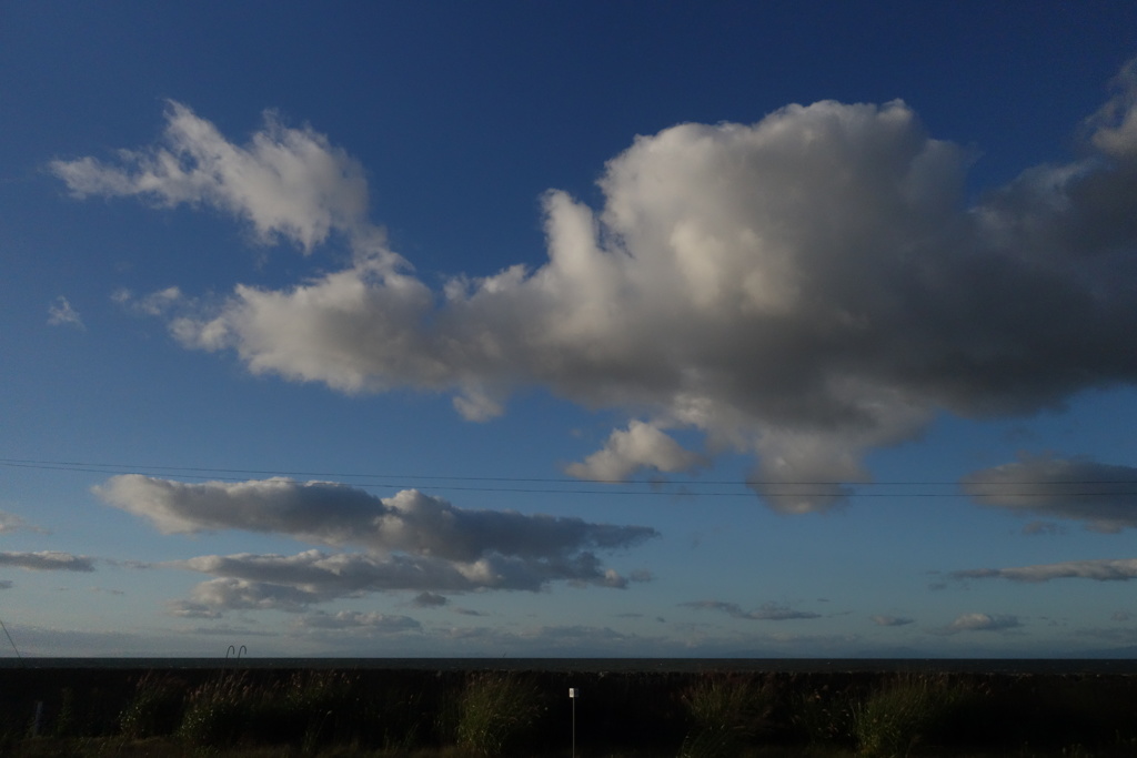 青すぎる空