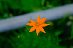 6E74820C-A1C8-4EA5-86B7-36788CEE7B36