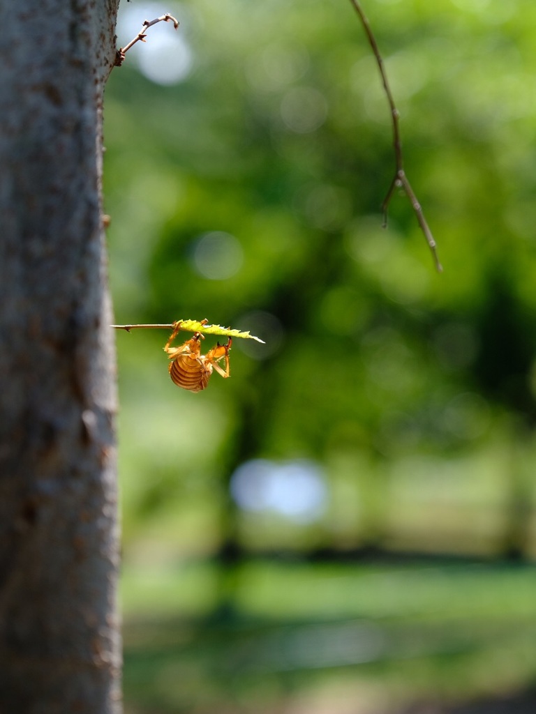 D774AF1A-5FA1-4D44-A960-82C7D4C7A2E1