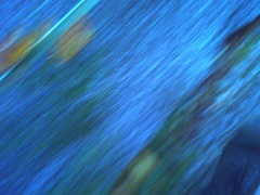 83C1A9EA-AD3A-4D90-B989-9A01FA1843C1