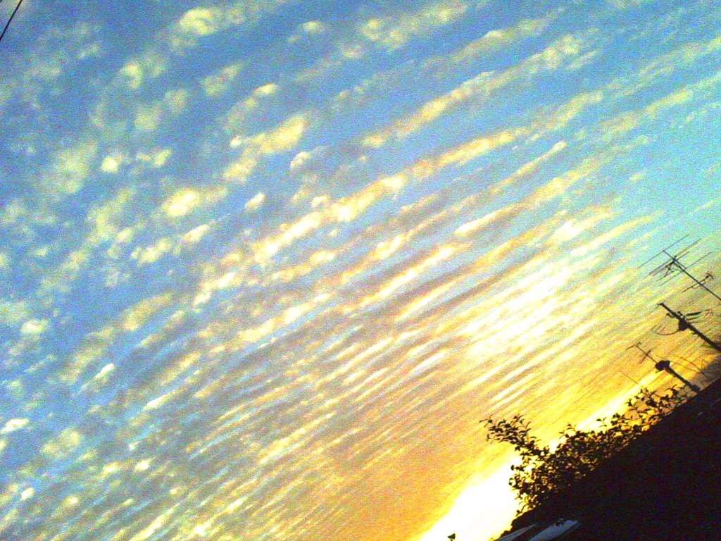 A9EF00DC-DB0E-4CA9-BF9F-C42B28FC31DE