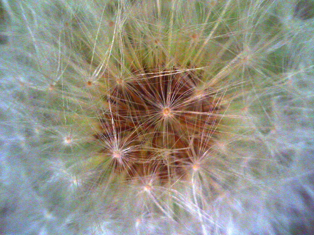 67B92D69-9563-4C28-874E-25E15A2B5837