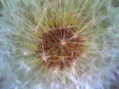 67B92D69-9563-4C28-874E-25E15A2B5837