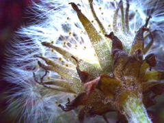 1BD492BB-1AC0-4993-B851-41B71FEB9948
