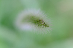 5C907808-CCD9-45F2-A0F6-14E052C82663