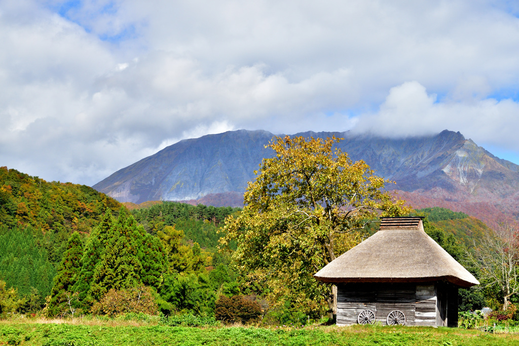 大山の紅葉