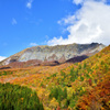 大山の紅葉